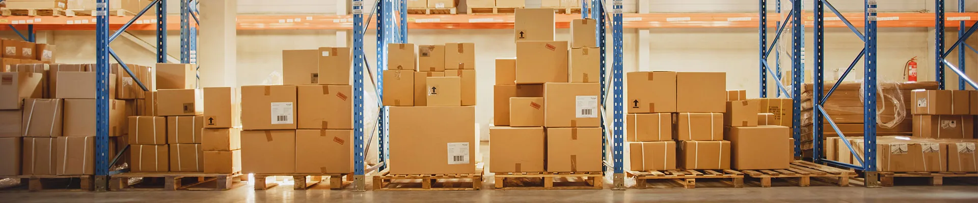 amazon return strategy